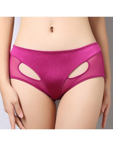 Sexy Mesh Fox Shape Hollow Out Mid Waist Panties For Women